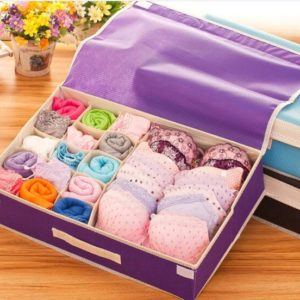 Storage Box Tempat Penyimpanan Pakaian Dalam dan Bra