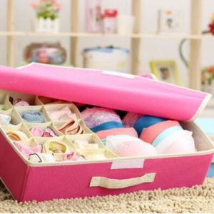 Storage Box Tempat Penyimpanan Pakaian Dalam dan Bra