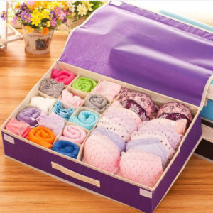 Storage Box Tempat Penyimpanan Pakaian Dalam dan Bra